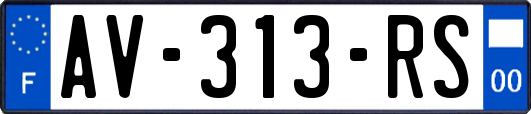 AV-313-RS