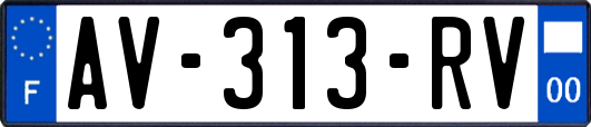 AV-313-RV