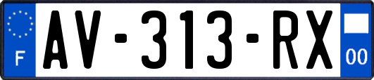 AV-313-RX