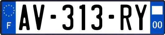 AV-313-RY