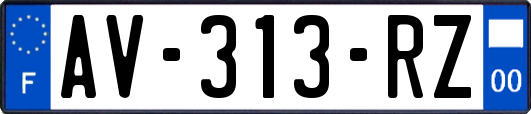 AV-313-RZ