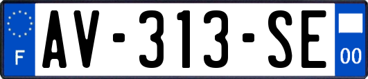 AV-313-SE