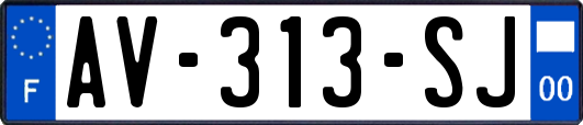 AV-313-SJ