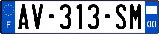 AV-313-SM