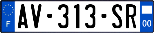 AV-313-SR