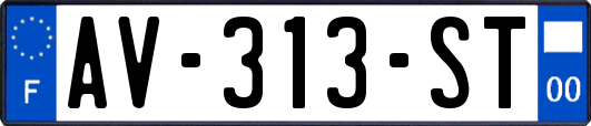 AV-313-ST