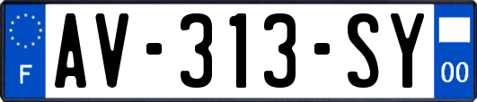AV-313-SY