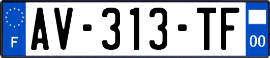 AV-313-TF