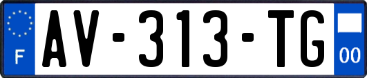 AV-313-TG
