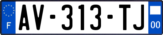 AV-313-TJ
