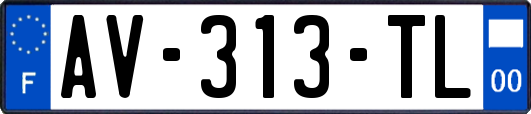 AV-313-TL