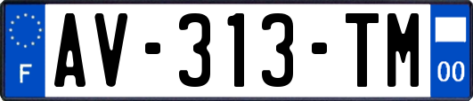 AV-313-TM
