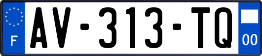 AV-313-TQ