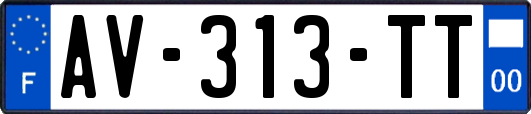 AV-313-TT