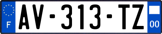 AV-313-TZ
