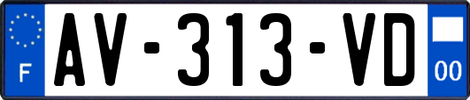 AV-313-VD