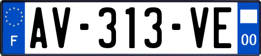 AV-313-VE