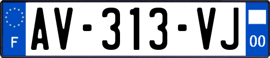AV-313-VJ