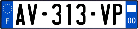 AV-313-VP