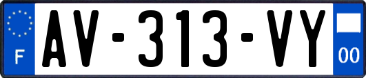 AV-313-VY