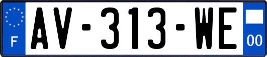 AV-313-WE