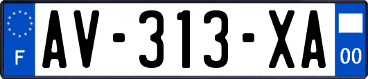 AV-313-XA
