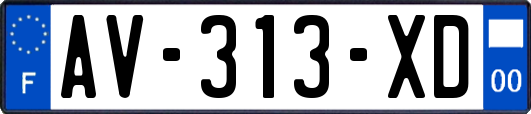 AV-313-XD