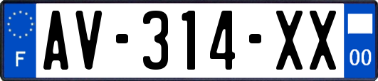 AV-314-XX