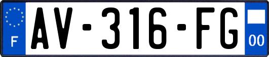 AV-316-FG