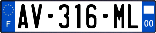 AV-316-ML