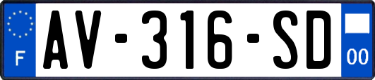 AV-316-SD