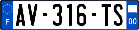 AV-316-TS