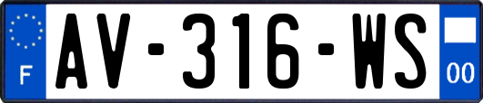 AV-316-WS