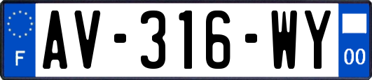 AV-316-WY