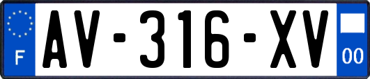 AV-316-XV