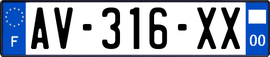 AV-316-XX