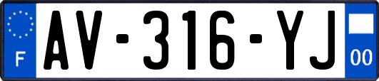 AV-316-YJ