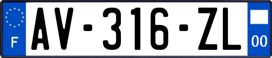 AV-316-ZL