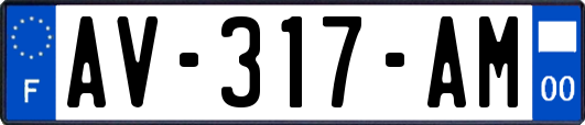 AV-317-AM