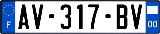 AV-317-BV