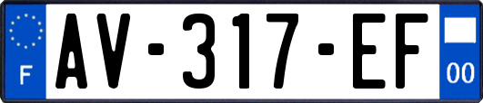 AV-317-EF