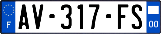 AV-317-FS