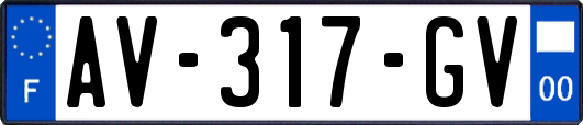 AV-317-GV