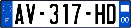AV-317-HD