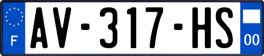 AV-317-HS