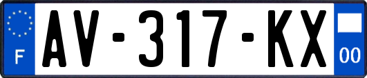 AV-317-KX