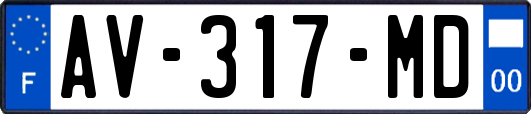 AV-317-MD