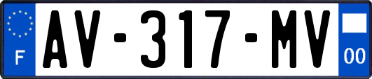 AV-317-MV