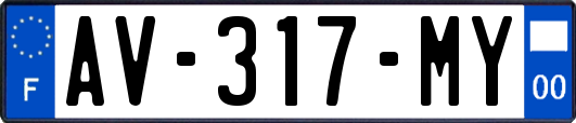 AV-317-MY