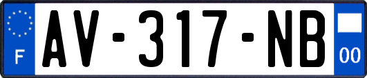 AV-317-NB